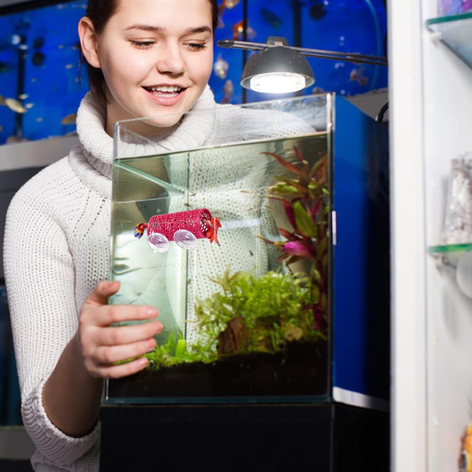 Betta Fish Tank - Ozdoba do akwarium Betta, tunel dla