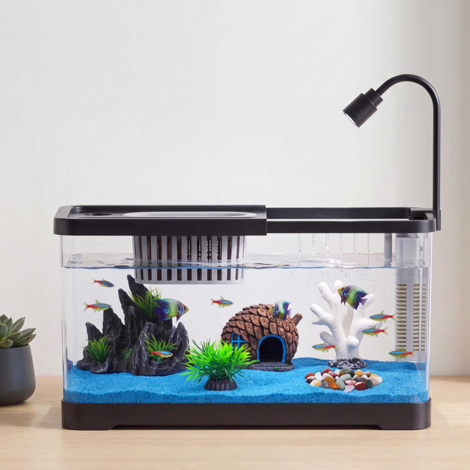 Betta Fish Tank - Zestaw startowy do akwarium z filtrem