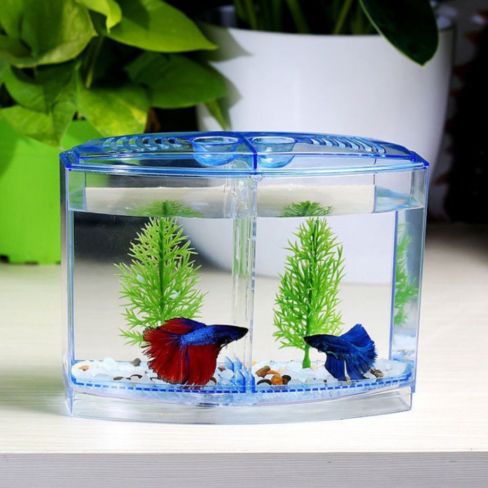 Betta Fish Tank - Przezroczyste akwarium Betta, dwusiatkowe akwarium z