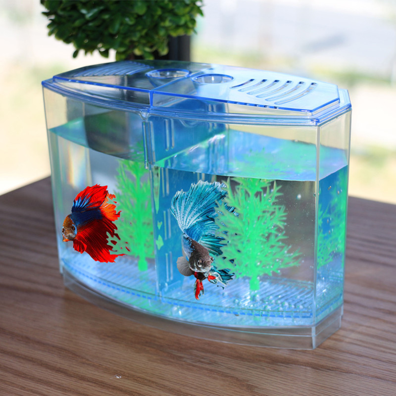 Aquarium Fish Keeping - Nowatorska i zabawna zabawka Kreatywne pudełko
