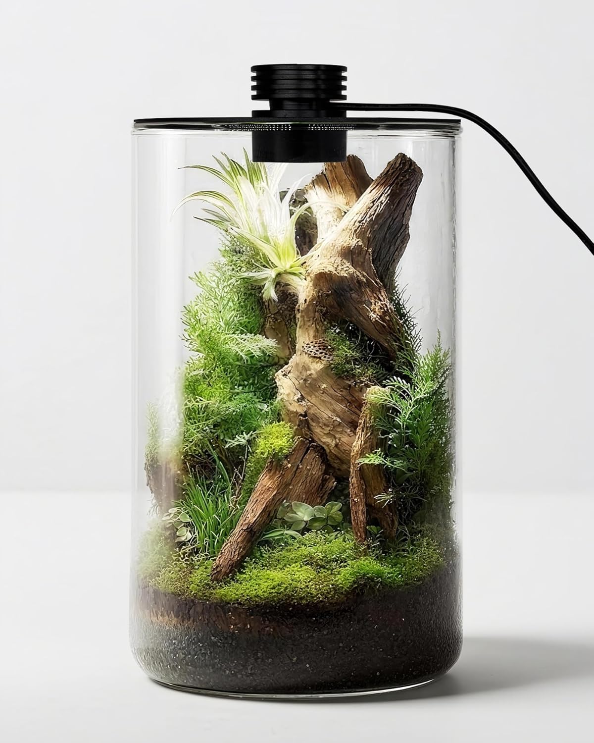 Betta Fish Tank - Szklane terrarium wewnętrzne z lampą do