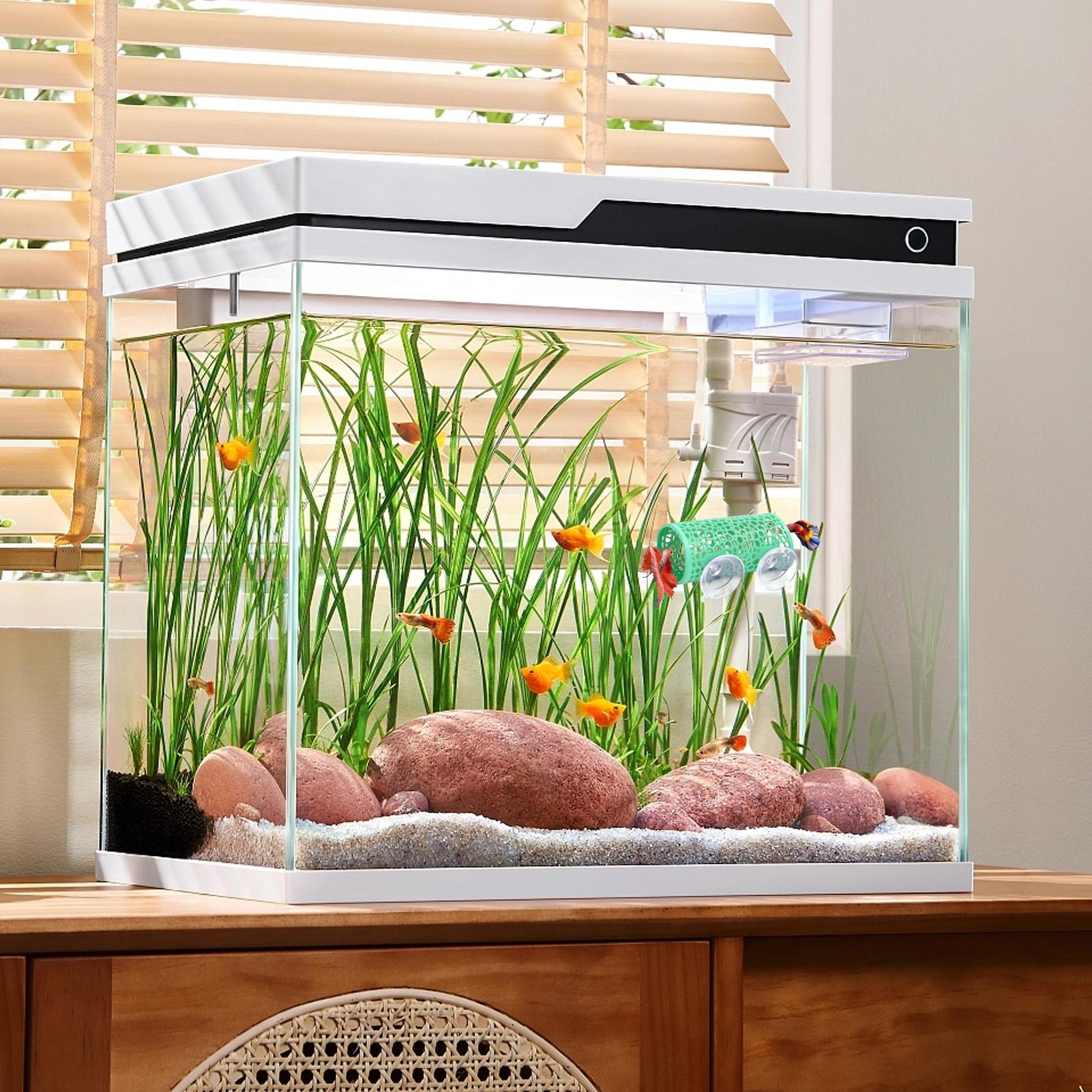 Ozdoba do akwarium Betta, tune – Betta Fish Tank recenzja i cena