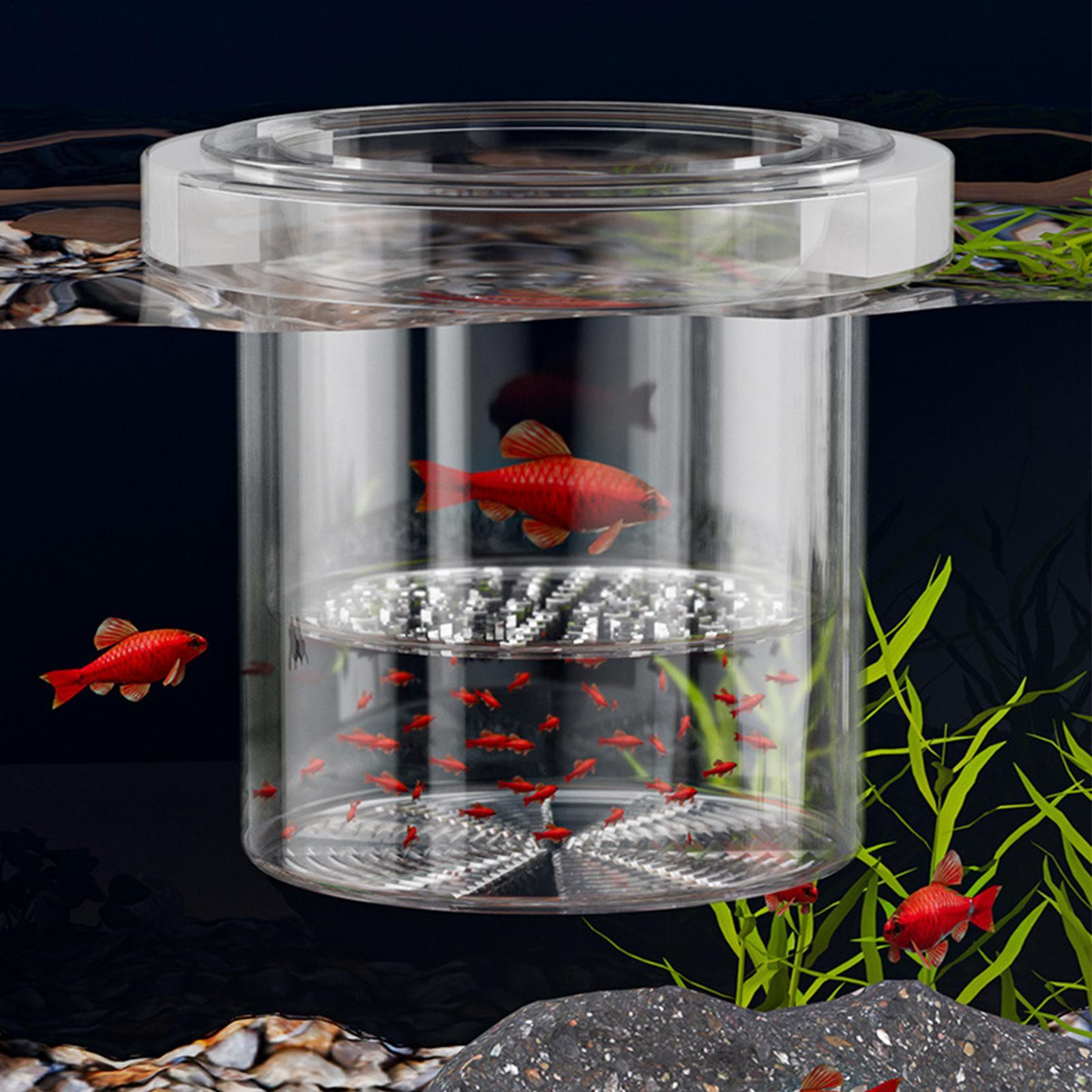 Wytrzymały pojemnik do hodowli – Betta Fish Tank recenzja i cena