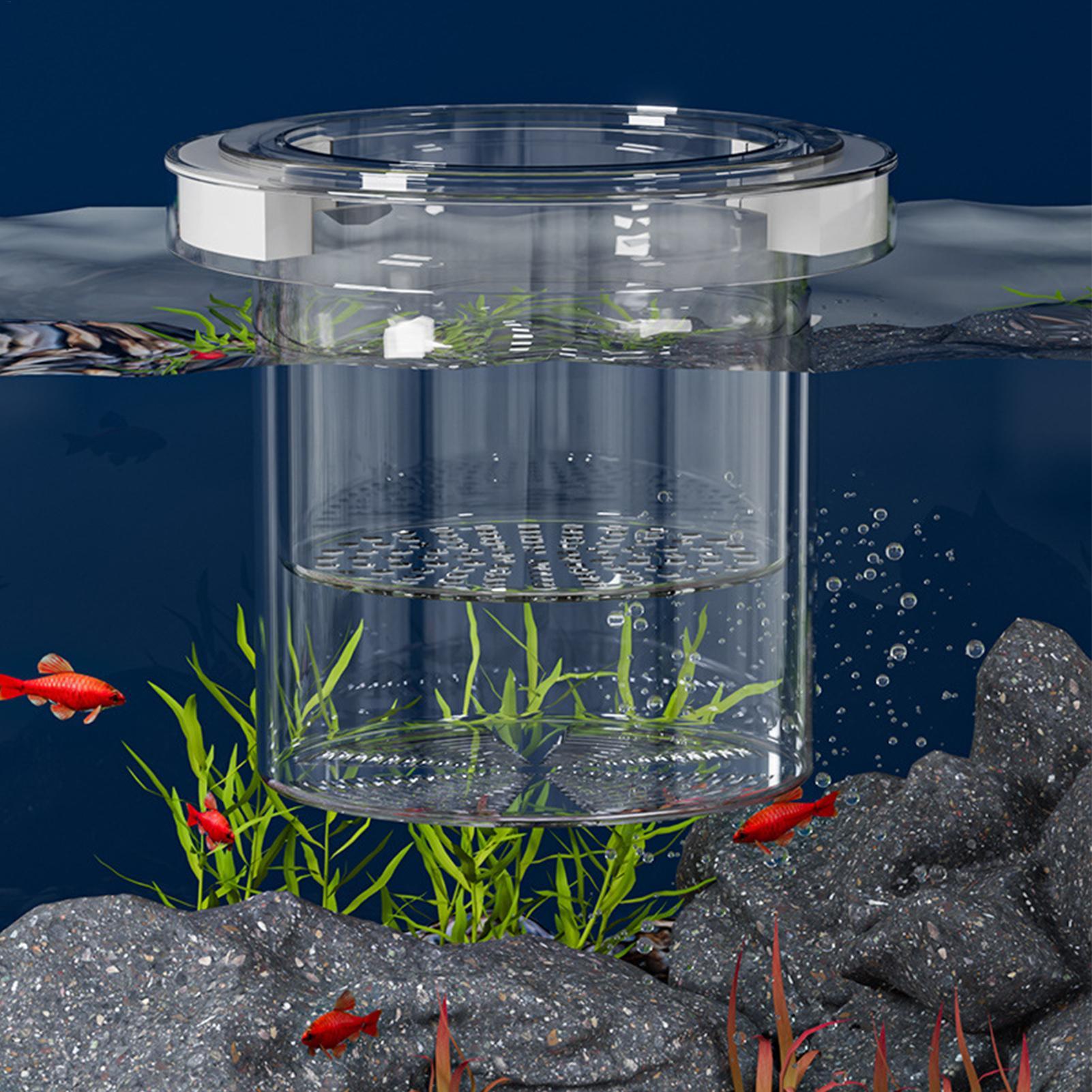 Pływający pojemnik do hodowli  – Betta Fish Tank recenzja i cena