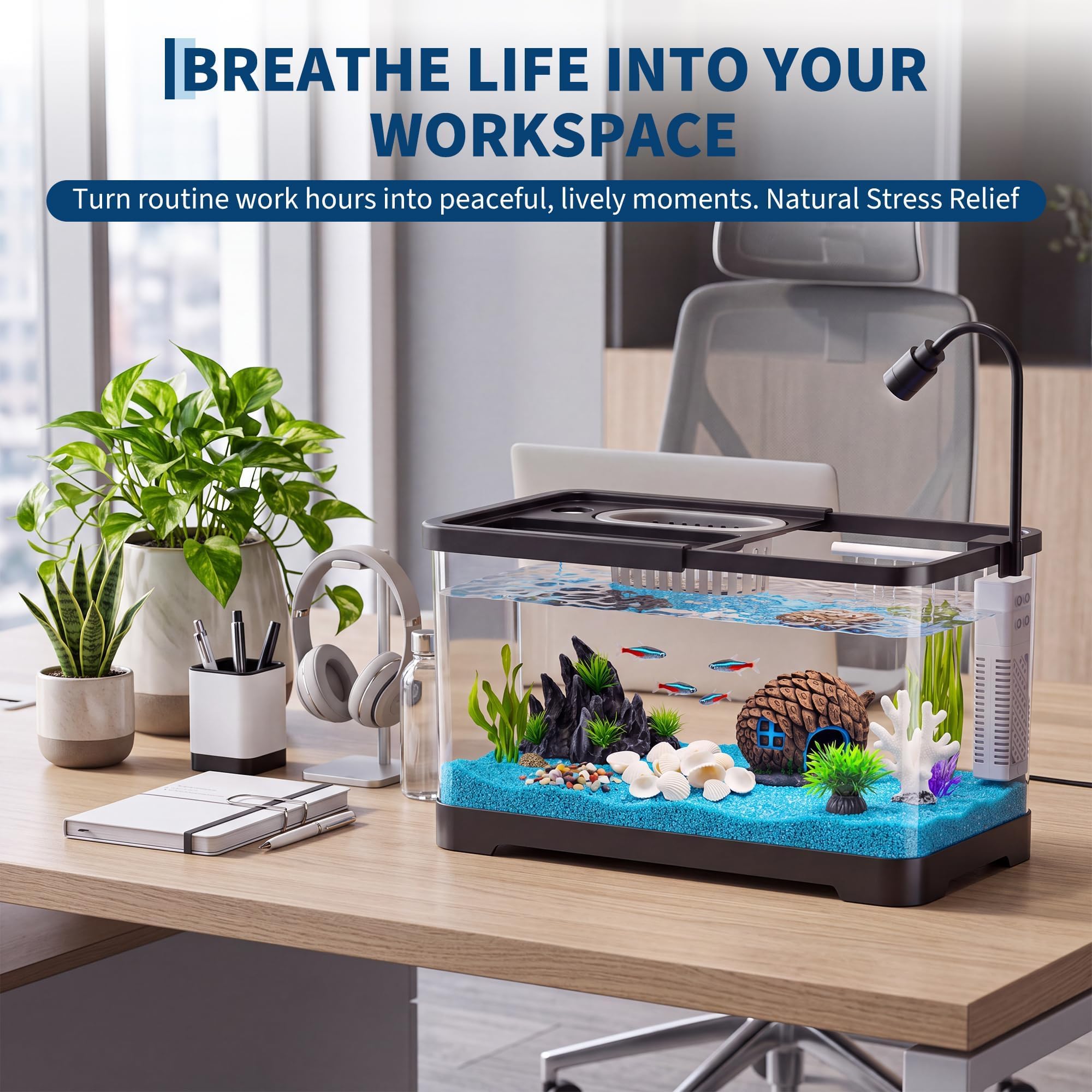 Zestaw startowy do akwarium z  – Betta Fish Tank recenzja i cena