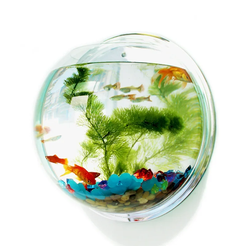 Pinsjar Akrylowa miska na ryby – Betta Fish Tank recenzja i cena