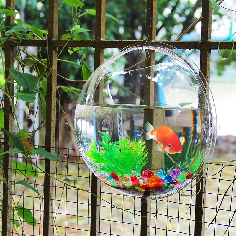 Pinsjar Akrylowa miska na ryby – Betta Fish Tank recenzja i cena