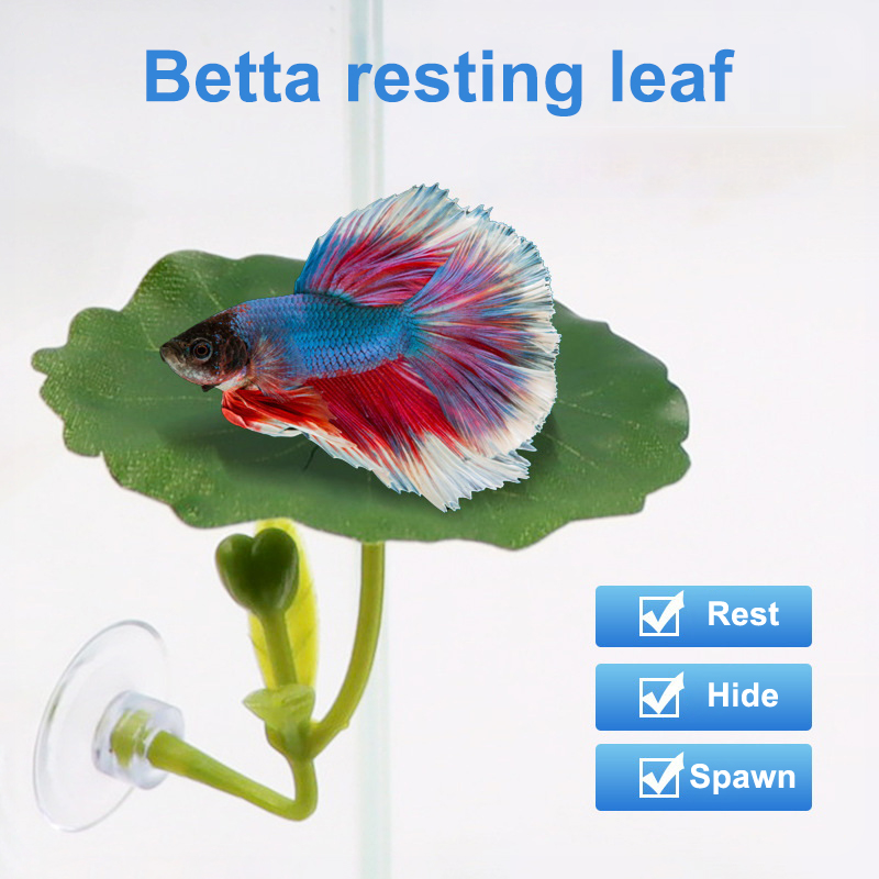 (Ce14)1/5PC Zielona Hamak z Li – Betta Fish Tank recenzja i cena