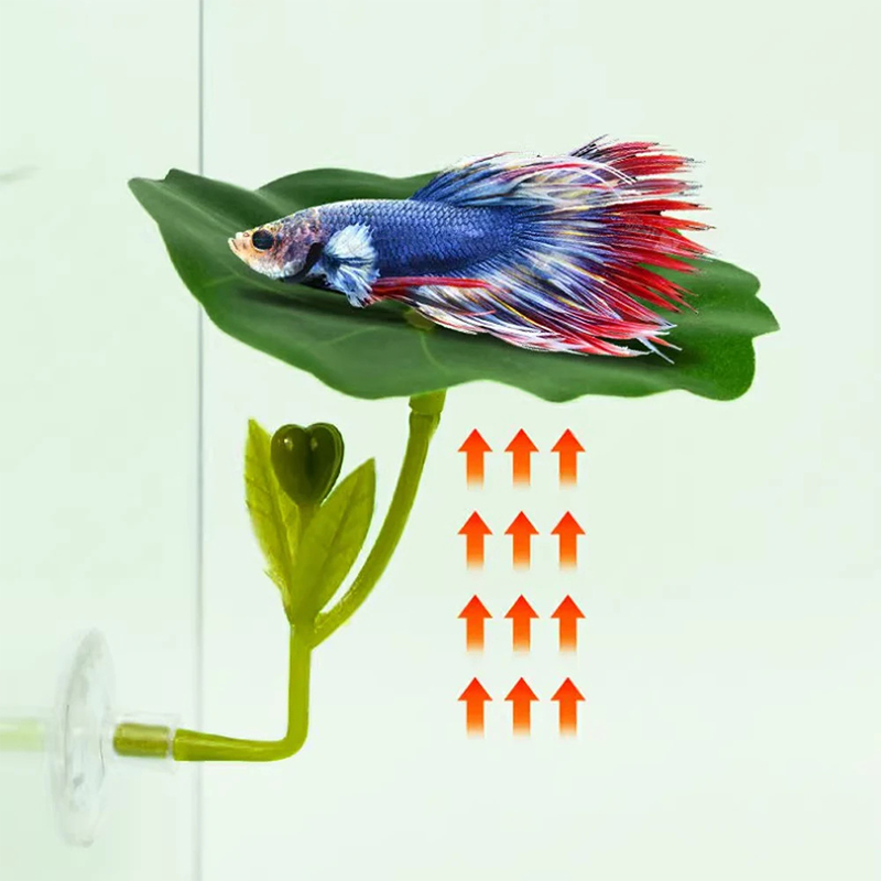 (Ce14)1/5PC Zielona Hamak z Li – Betta Fish Tank recenzja i cena