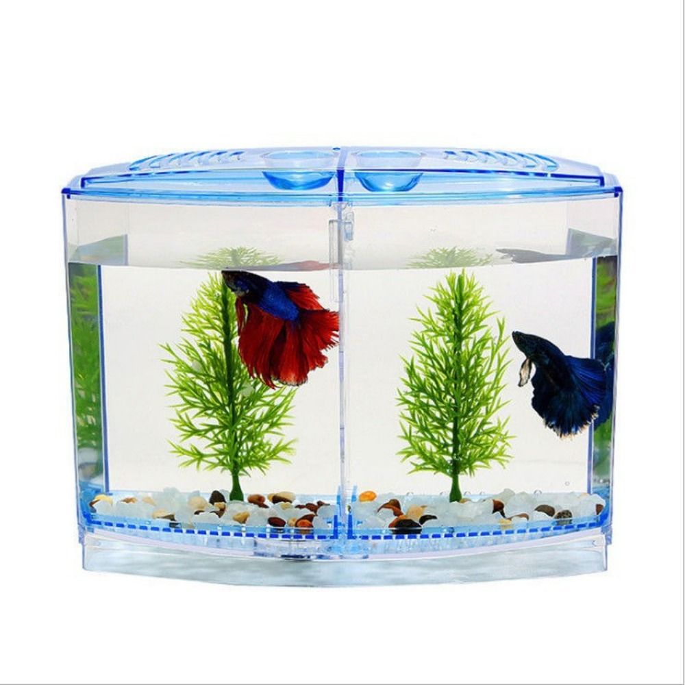 Przezroczyste akwarium Betta,  – Betta Fish Tank recenzja i cena