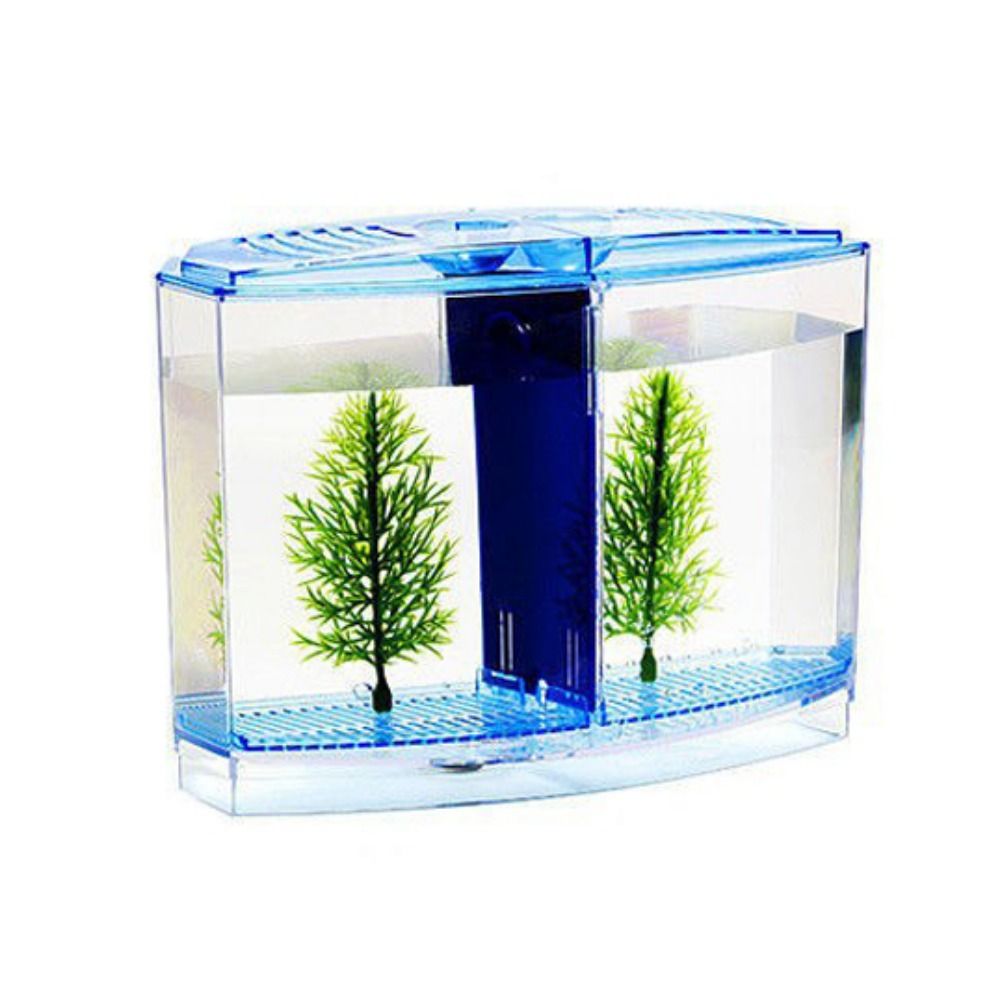 Przezroczyste akwarium Betta,  – Betta Fish Tank recenzja i cena
