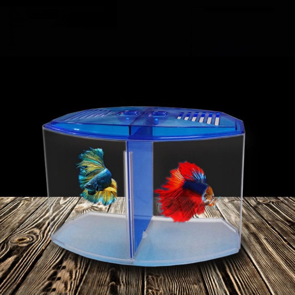 Przezroczyste akwarium Betta,  – Betta Fish Tank recenzja i cena