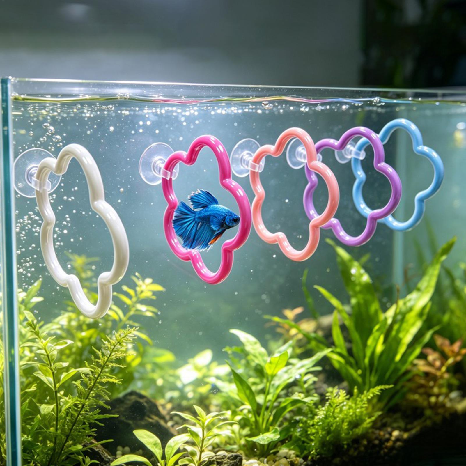 Zabawki dla rybek Betta, 5 szt – Aquarium Fish Betta recenzja i cena