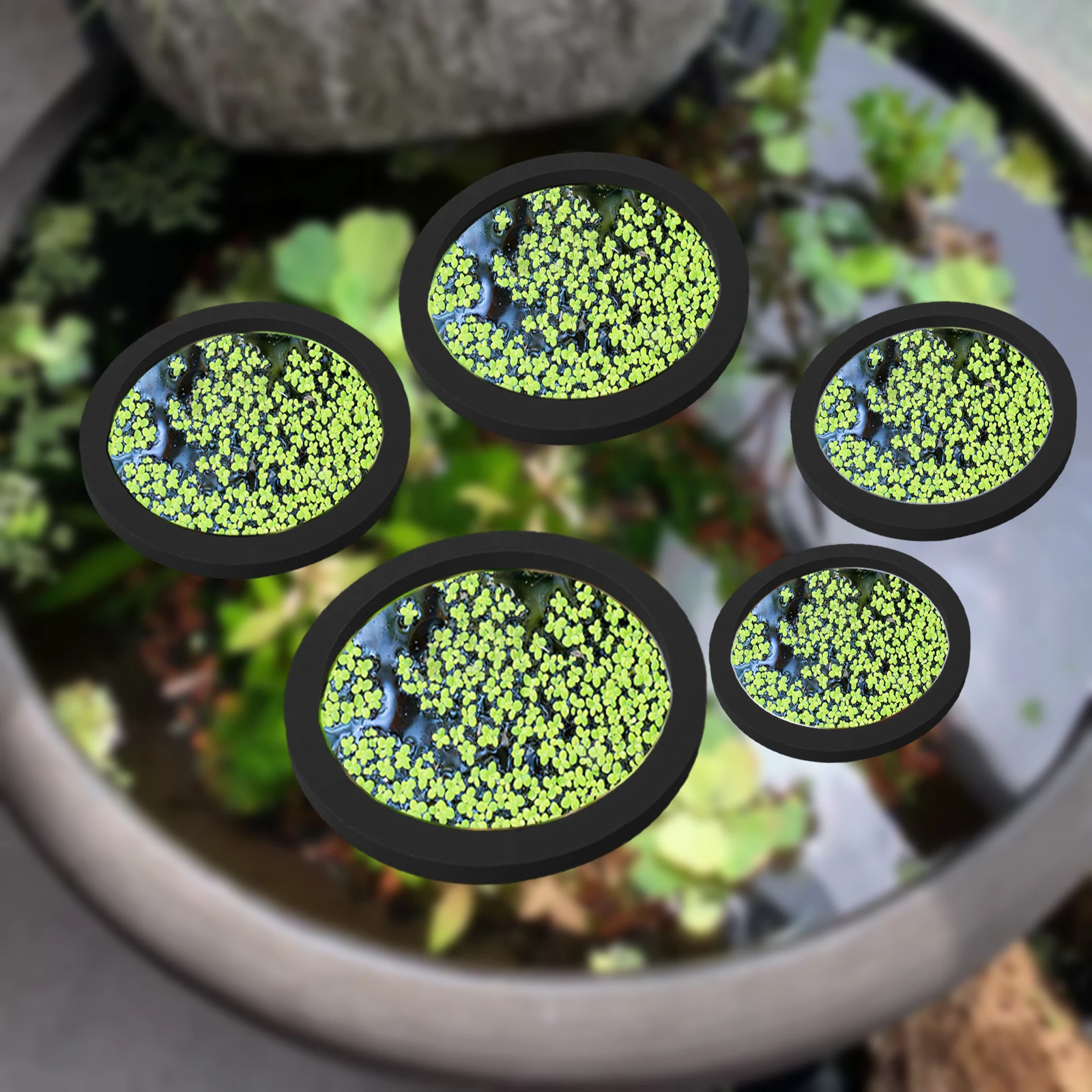 5Pcs EVA Pierścień do karmieni – Aquarium Plants recenzja i cena