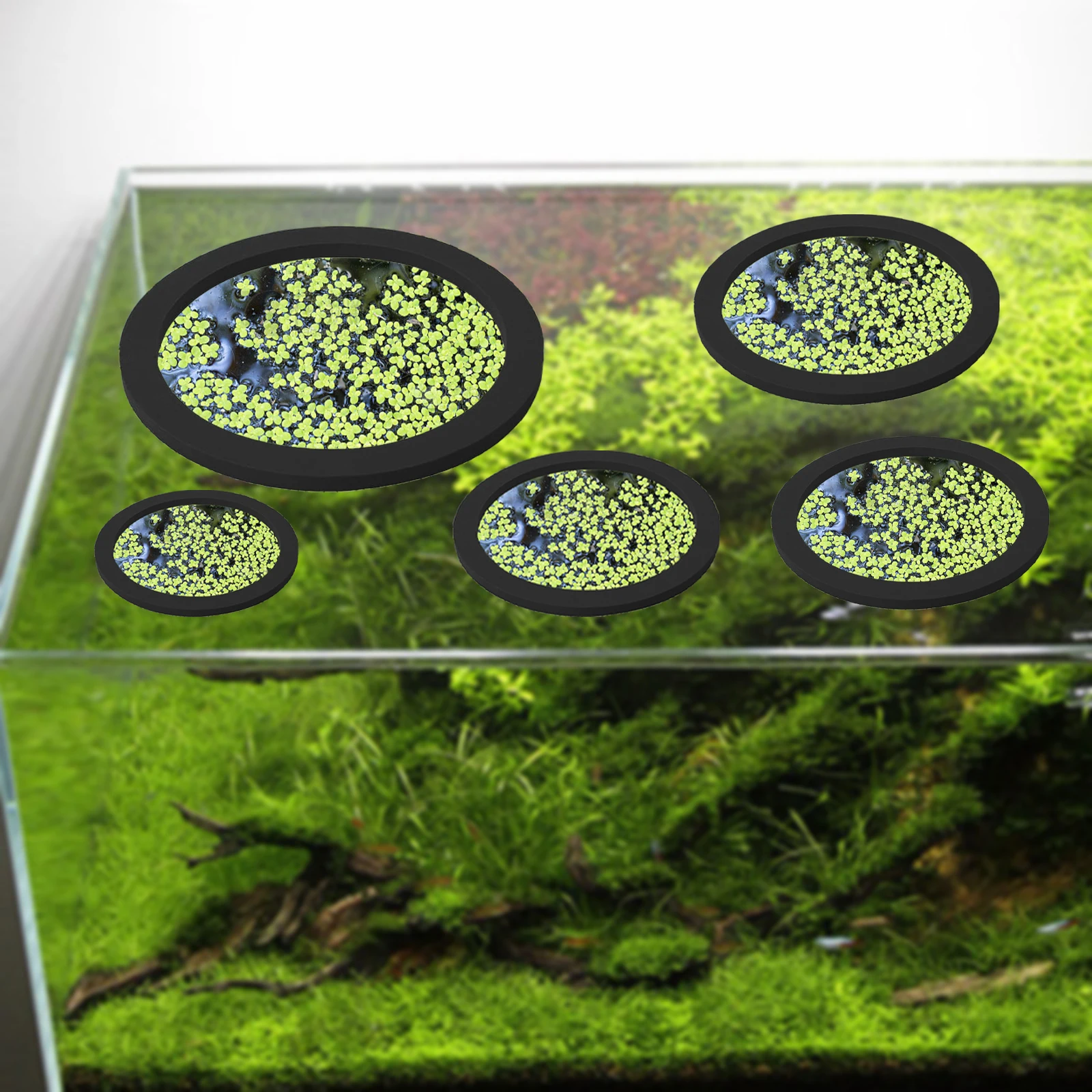 5Pcs EVA Pierścień do karmieni – Aquarium Plants recenzja i cena