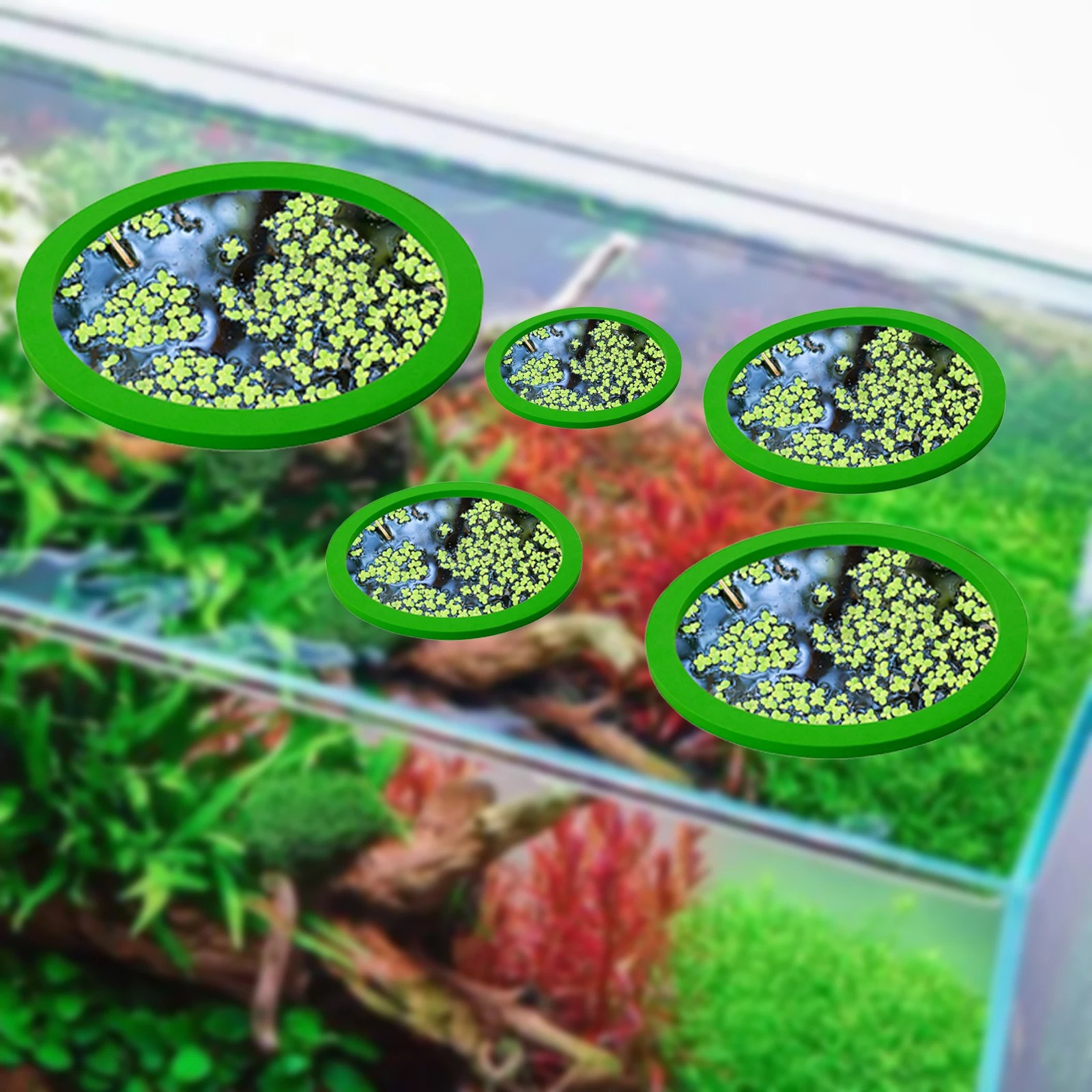 5Pcs EVA Pierścień do karmieni – Aquarium Plants recenzja i cena
