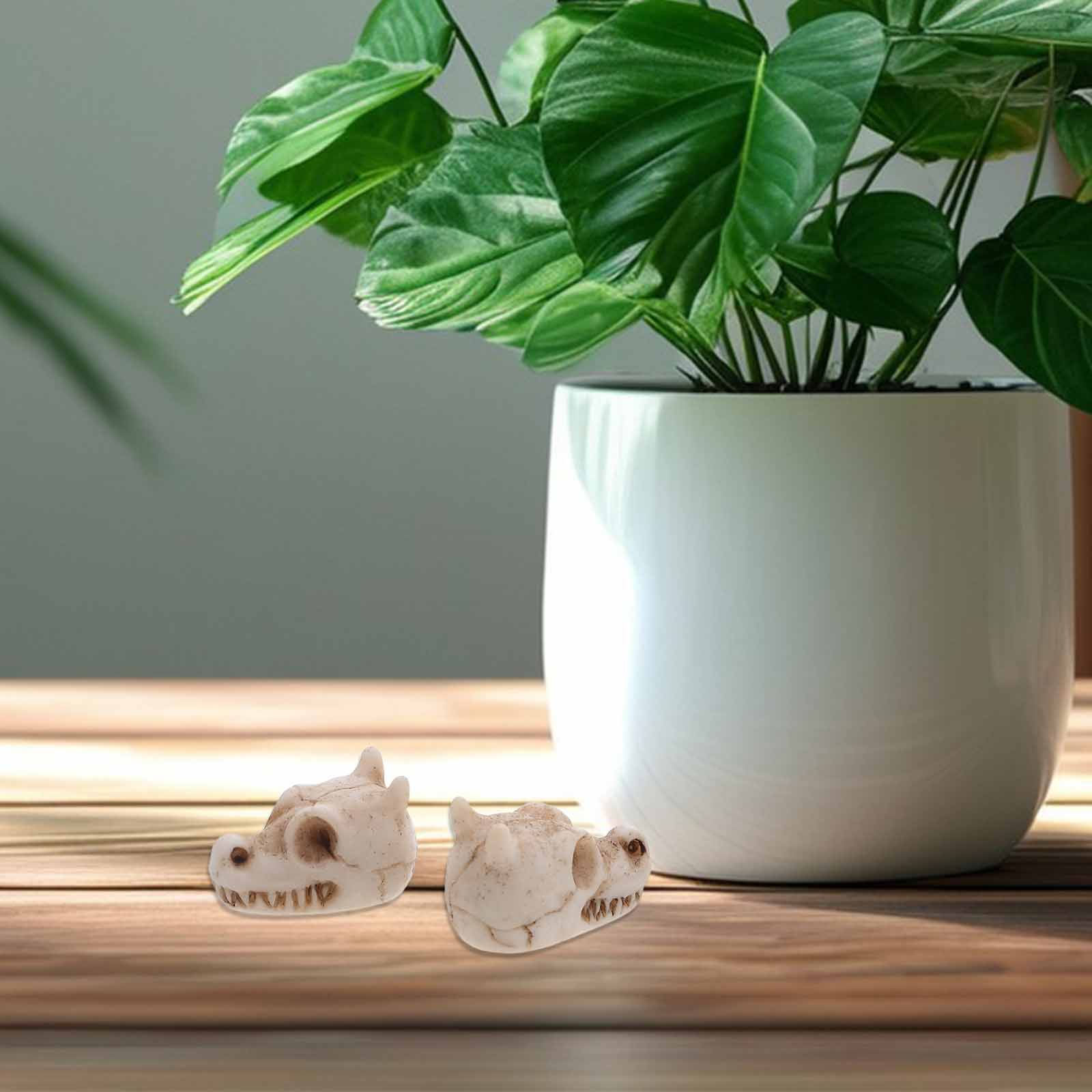 20 szt. Mini czaszki smoka z ż – Aquarium Decor recenzja i cena