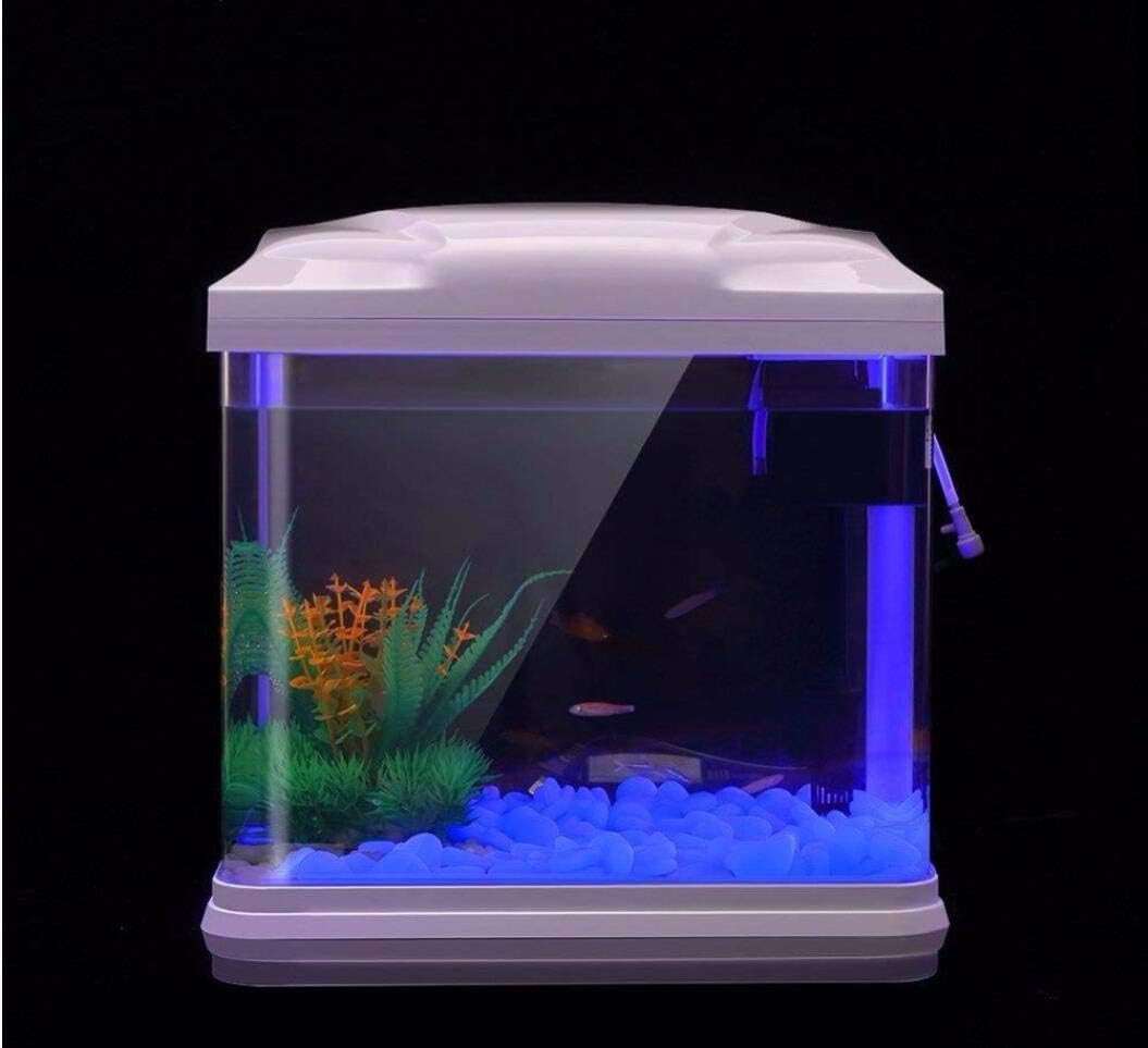 Fish Tank Rocks Glow Blue Pebb – Fish Tank Gravel recenzja i cena