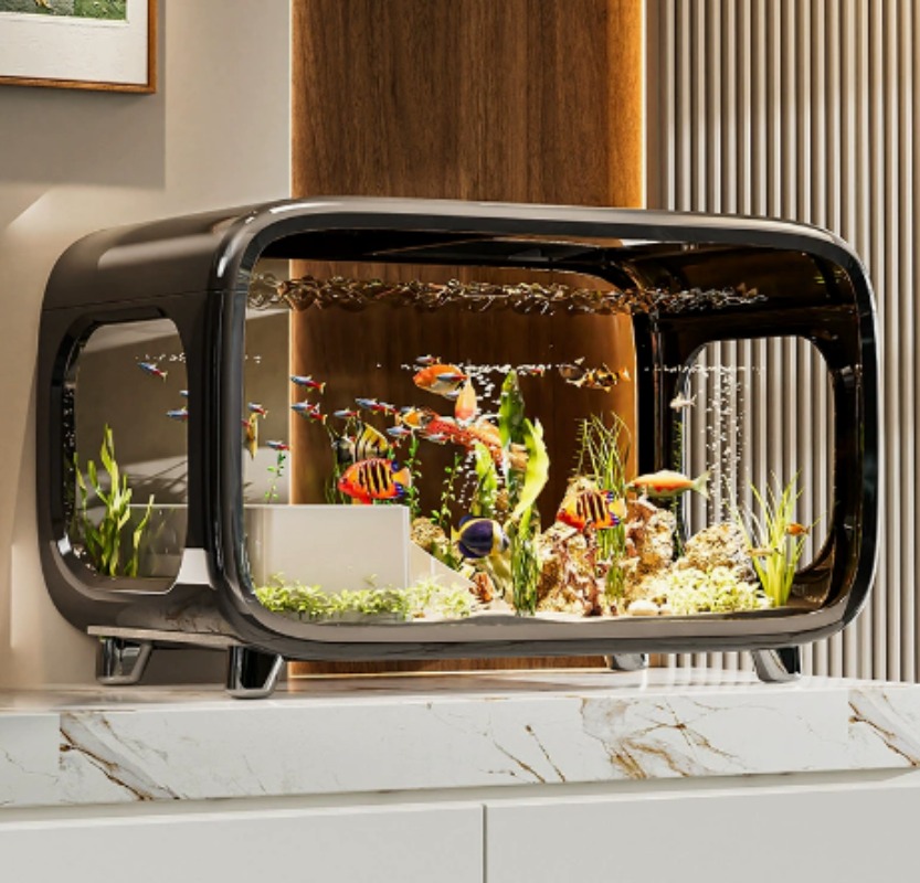 Kreatywny, przezroczysty, ekol – Fish Aquarium Home recenzja i cena