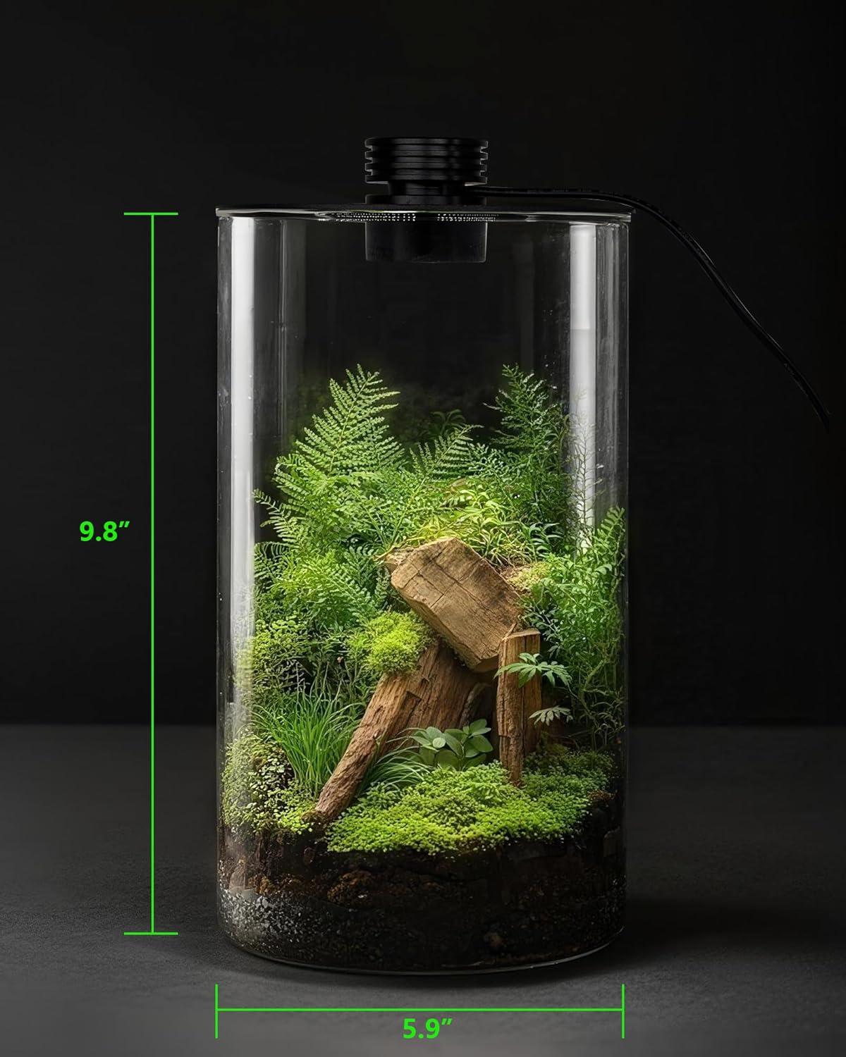 Szklane terrarium wewnętrzne z – Betta Fish Tank recenzja i cena