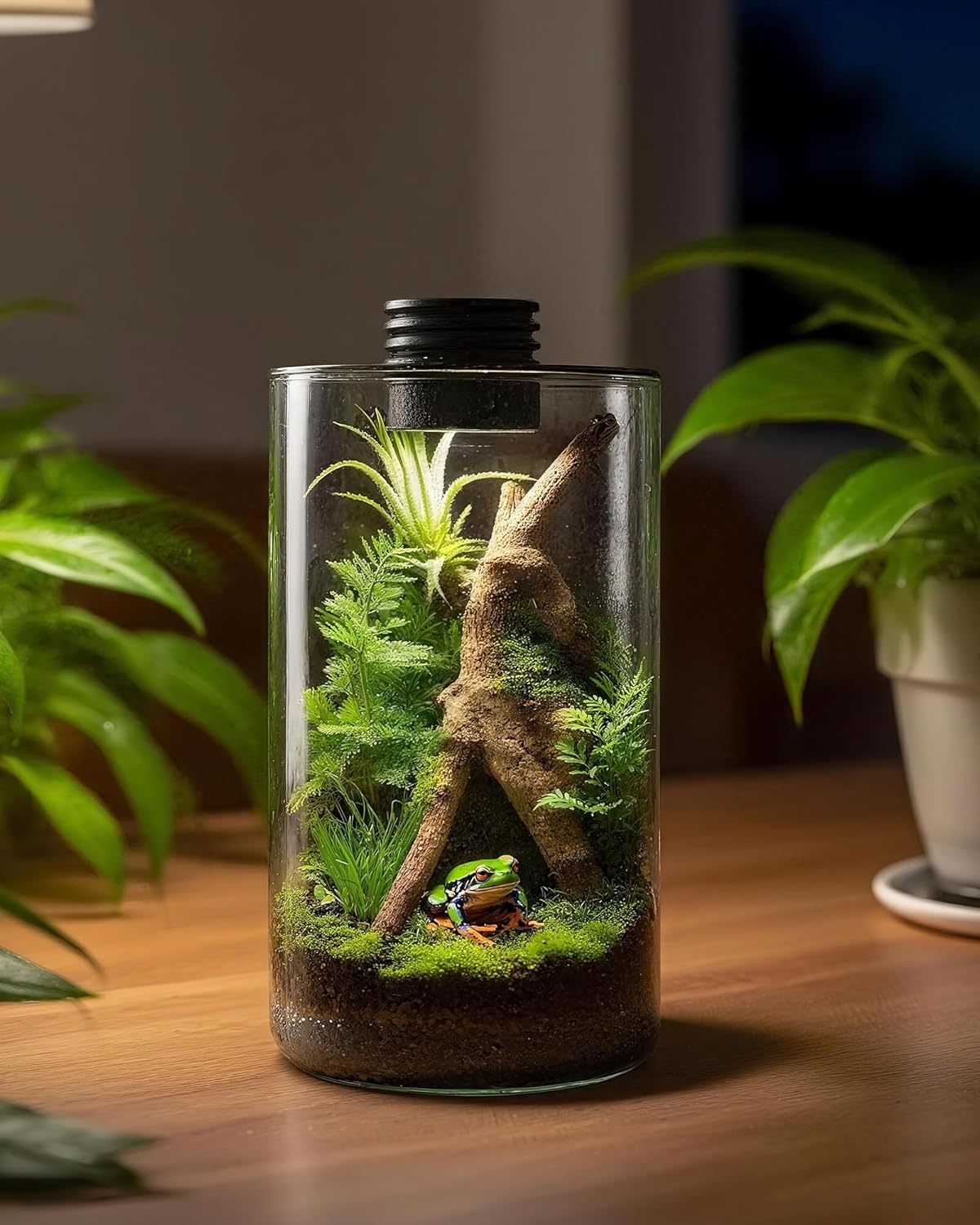 Szklane terrarium wewnętrzne z – Betta Fish Tank recenzja i cena