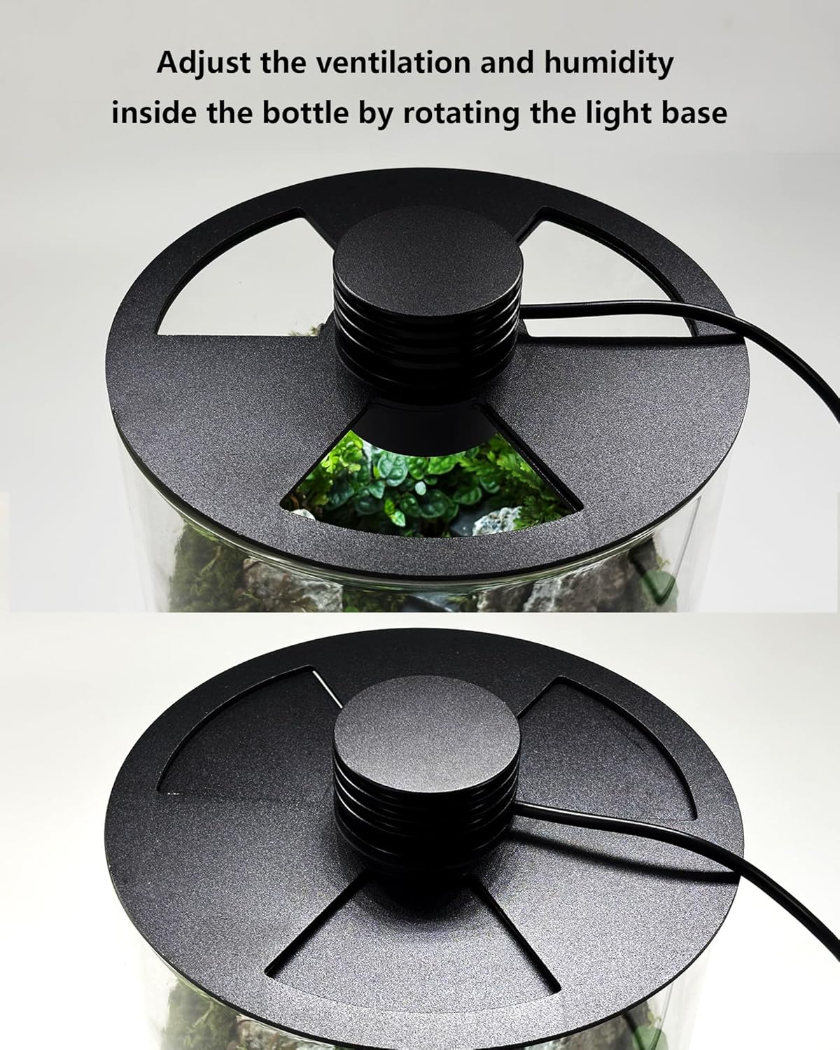 Szklane terrarium wewnętrzne z – Betta Fish Tank recenzja i cena