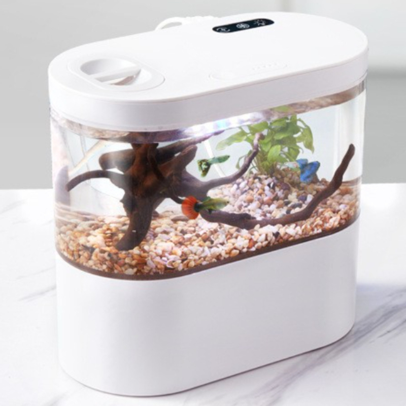 Kreatywne mini akwarium biurko – Betta Fish Tank recenzja i cena