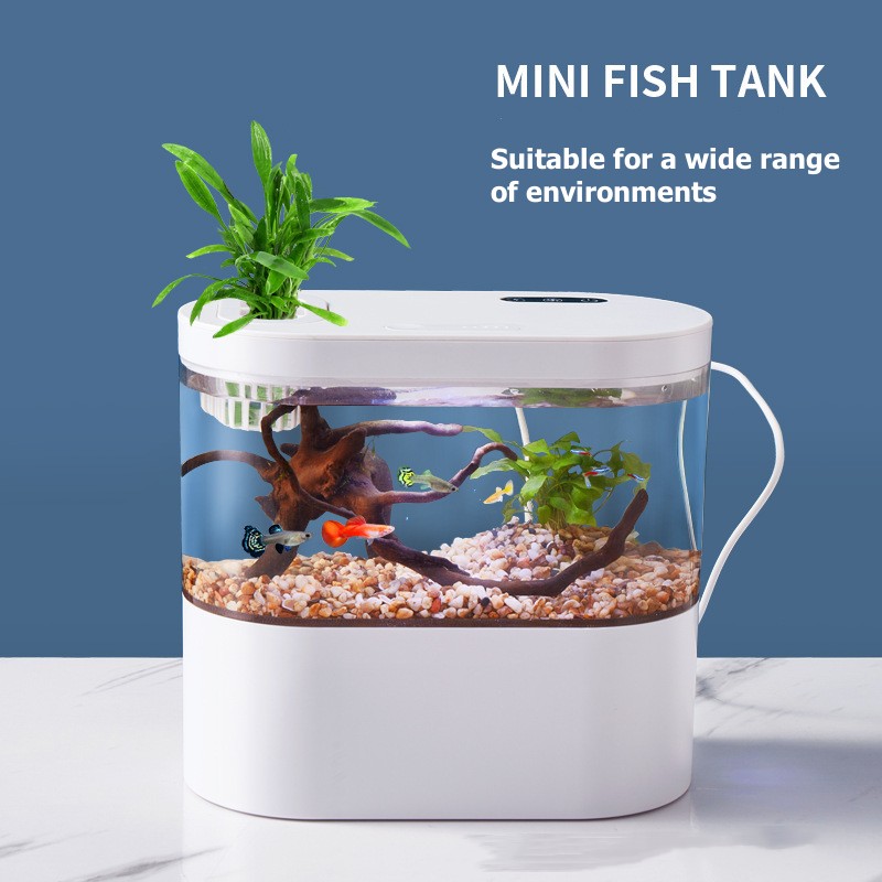 Kreatywne mini akwarium biurko – Betta Fish Tank recenzja i cena