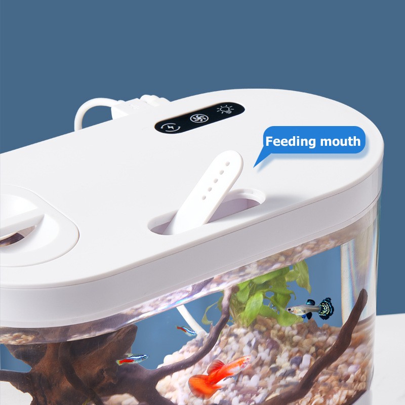 Kreatywne mini akwarium biurko – Betta Fish Tank recenzja i cena