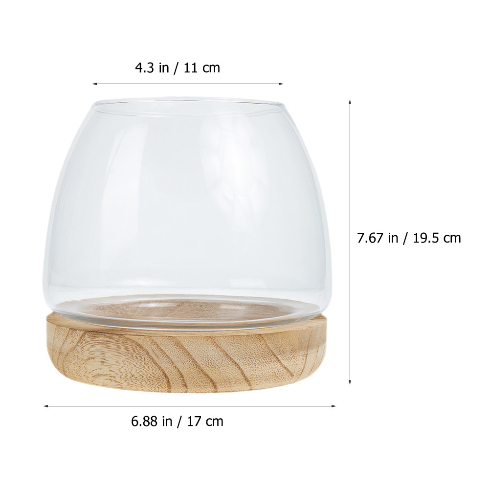 1 zestaw: przezroczysty szklan – Aquarium Plants recenzja i cena