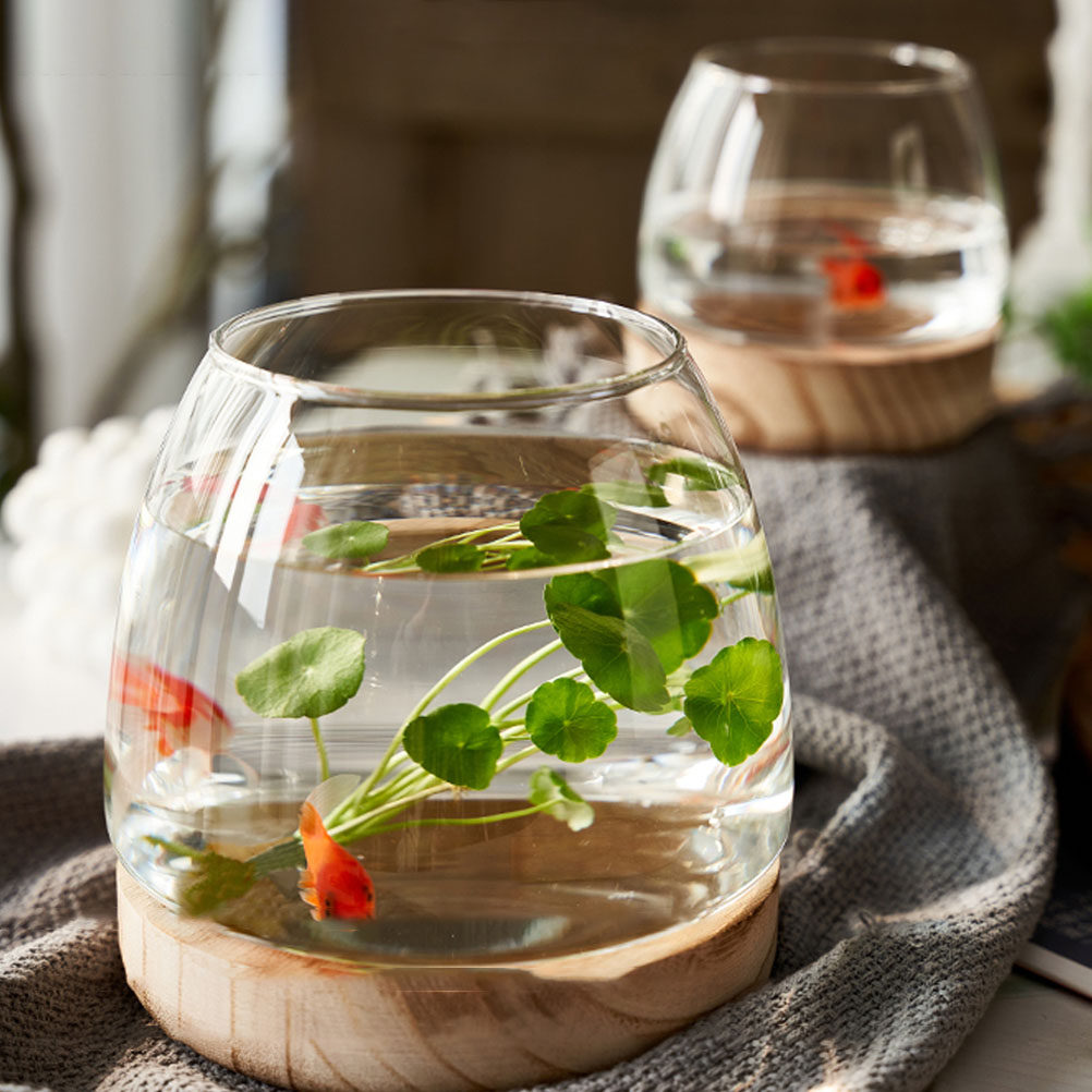 1 zestaw: przezroczysty szklan – Aquarium Plants recenzja i cena